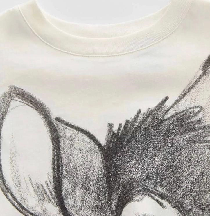 تیشرت دخترانه ترک زارا طرح آهو ZARA 4446 2abd466d-e0c4-4765-813d-00e84498c5e8.jpg