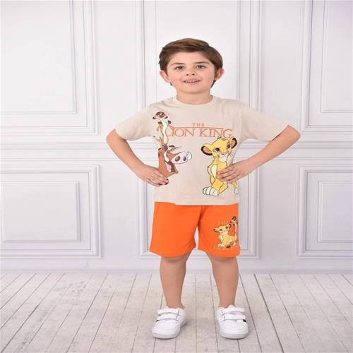 ست پسرانه شیرشاه 4503